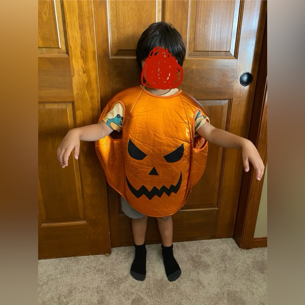 -SOLD-Pumpkin Halloween costumes